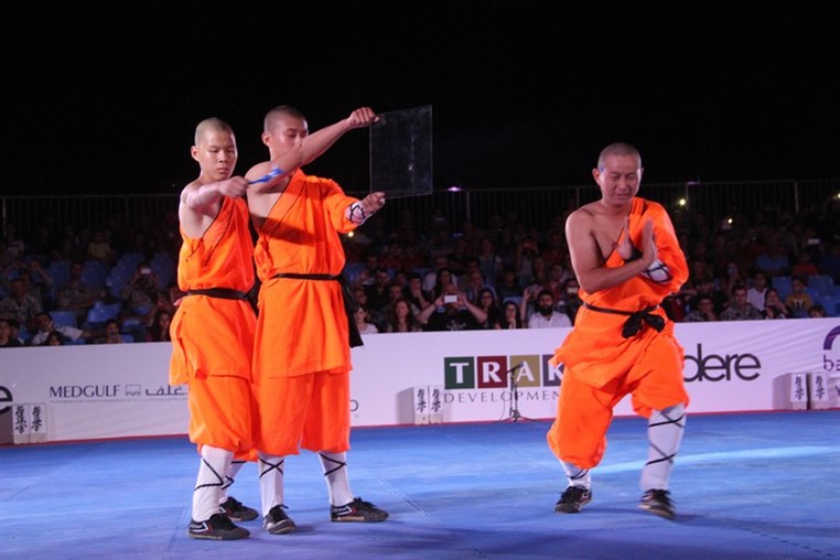 Martial Arts Festival